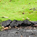 Cracked asphalt from a driveway near grass