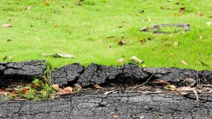 Cracked asphalt from a driveway near grass